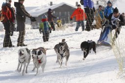 Lenk 2012 SM